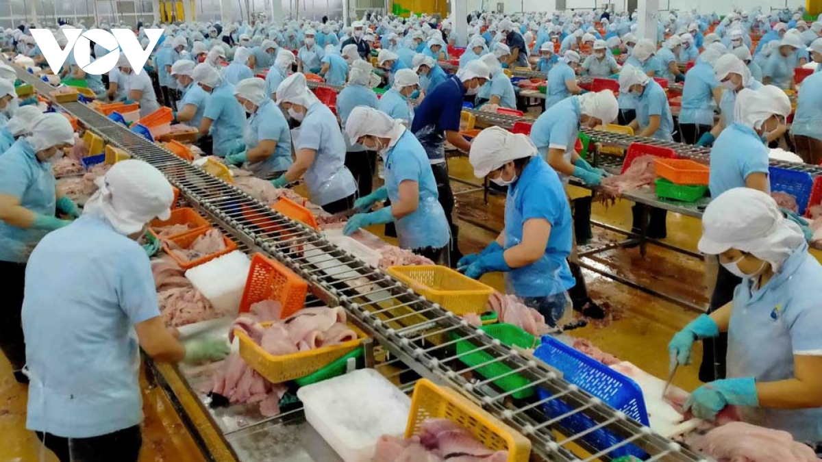 Tra fish exports to Mexico record fall of nearly 60%